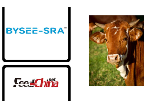 BYSEE-SRA Enhances Animal Feed and Pet Food Consultancy Services